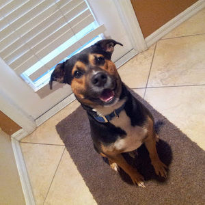 Meet your Posher, Tammy